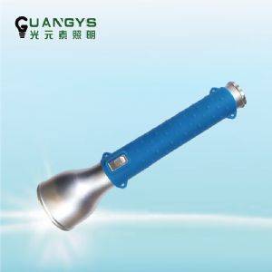 SW2150 便携防爆潜水电筒（LED10W）